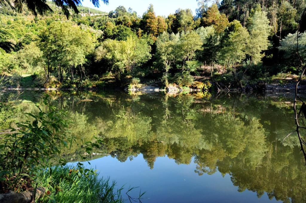 Quinta Das Escomoeiras Celorico De Basto Exterior foto