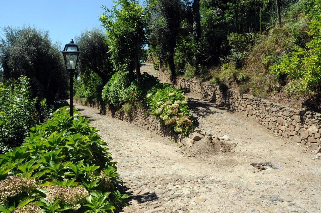 Quinta Das Escomoeiras Celorico De Basto Exterior foto